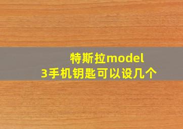 特斯拉model 3手机钥匙可以设几个